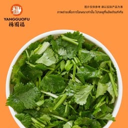 #S004-ผักชี  