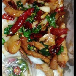 กระเพราหมูแดดเดียวไข่เยี่ยวม้า