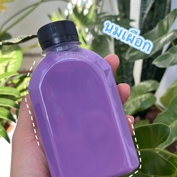 ชานมเผือก ขวด 220ml