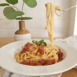Cafe Mojo & Paws งามวงศ์วาน