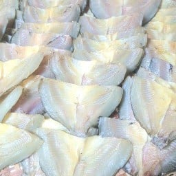ครัวปอ ปลาแดดเดียว ตลาดคู่สร้าง