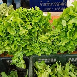 เจ๊ราตรี ผักสด ตลาดเอซี สายไหม