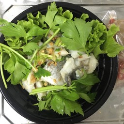 ปลาลวกจิ้ม