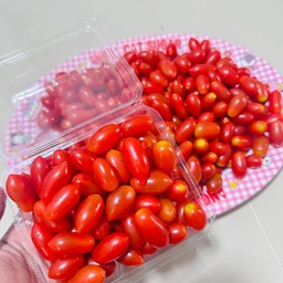 มะเขือเทศเชอร์รี่แดง