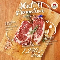 Frozen - Australian Duo