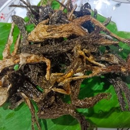 ดิ่งพสุธา (เขียด ตามฤดูกาล)