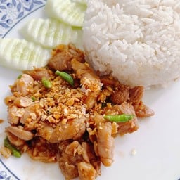 [อร่อยซ่ากับโค้ก] ข้าวไก่หมักผัดกระเทียมพริกขี้หนูสวน +  โค้ก ออริจินัล (กระป๋อง)