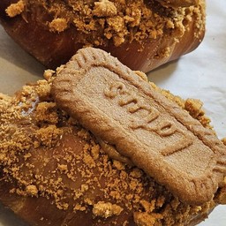 shio pan biscoff