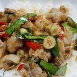 ผัดตะไคร้(ราดข้าว)