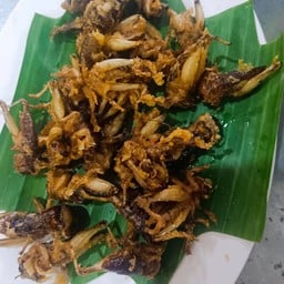 จิ้นกุ้ง (ตามฤดูกาล)