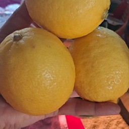 ชาเลม่อน