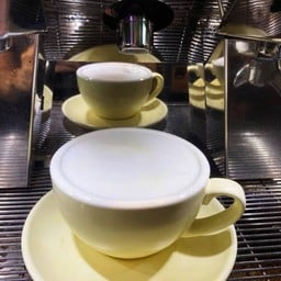 นมสดร้อน