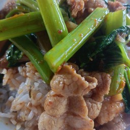 ผัดคะน้าราดข้าว