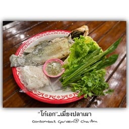 ปลากระพง