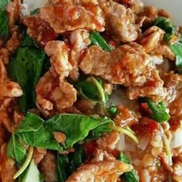 ผัดกะเพราหมูชื้นราดข้าว