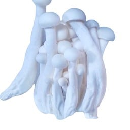 เห็ดชิเมจิขาว