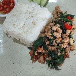 ผัดกระเพราหมูสับราดข้าว
