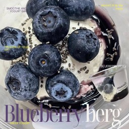 บลูเบอรี่เบิร์ก
