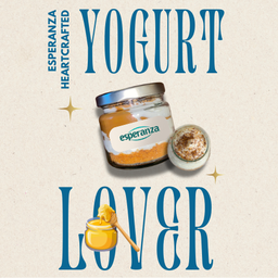 Yogurt cheese Biscoff flavor 170g