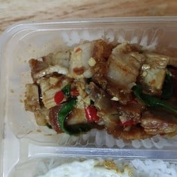 ข้าวกะเพราหมูกรอบ