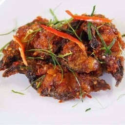 ผัดพริกแกง ปลาดุกทอด