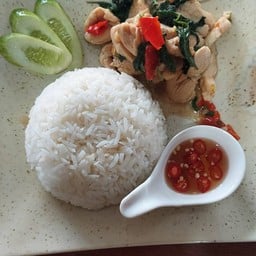ผัดกระเพราไก่ราดข้าว