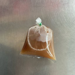 น้ำขิงร้อน