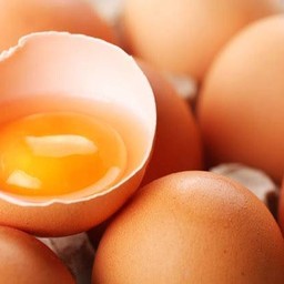 ไข่ไก่