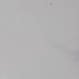 คะน้าหมูกรอบ(กับ)