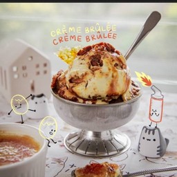 Creme Brûlée Ice Cream Scoop (80g)