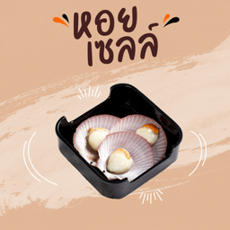 หอยเชลล์