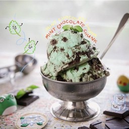 Mint Chocolate Chunk Scoop (80g)