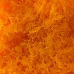 ข้าวเหนียวปิ้งกะทิไส้ฝอยทอง