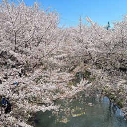 Fushimi Jikkokubune Canal