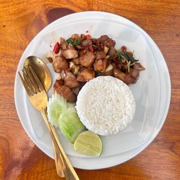 ข้าวผัดกระเพราปลาดอลลี่