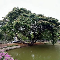 หอนาฬิกา 84 พรรษาเฉลิมพระเกียรติ