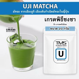 TMS Uji