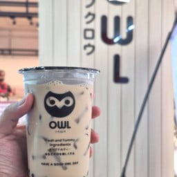Owl Cha Tops คูคต