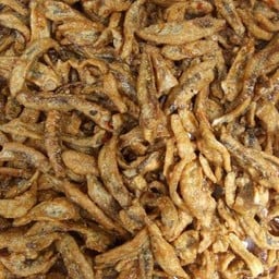 ปลากรอบ