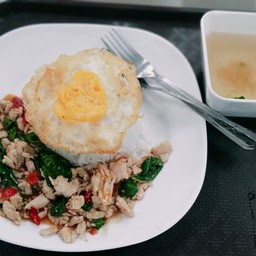 กะเพราไก่