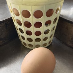 ไข่ไก่