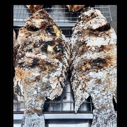 ปลานิลเผาเกลือ