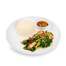 ข้าวคะน้าหมูกรอบน้ำมันหอย