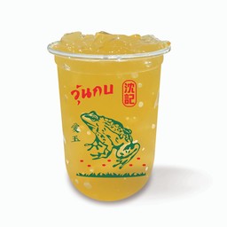วุ้น เปล่า