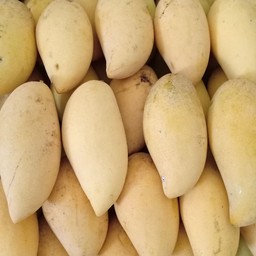 มะม่วงน้ำดอกไม้