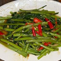 ผักบุ้งไฟแดง