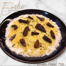 Risotto Morel