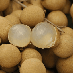 Peel ผลไม้ตามฤดูกาล