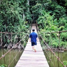 เส้นทางศึกษาธรรมชาติกองแก้ว