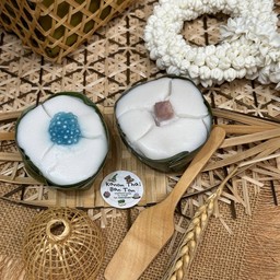 ตะโก้เผือก และ ตะโก้สาคู